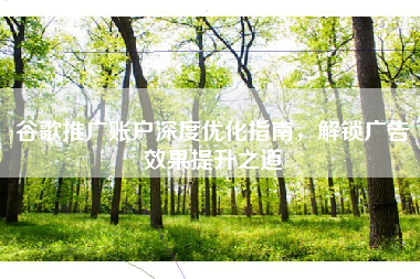 谷歌推广账户深度优化指南，解锁广告效果提升之道