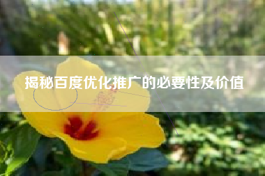 揭秘百度优化推广的必要性及价值