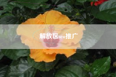 解放区seo推广