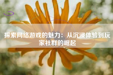 探索网络游戏的魅力：从沉浸体验到玩家社群的崛起