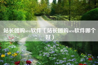 站长团购seo软件（站长团购seo软件哪个好）