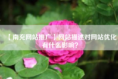 【南充网站推广】网站描述对网站优化有什么影响？