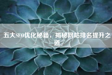 五大SEO优化秘籍，揭秘网站排名提升之道