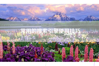 常用的搜索引擎使用技巧