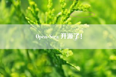 Open-Sora 开源了！