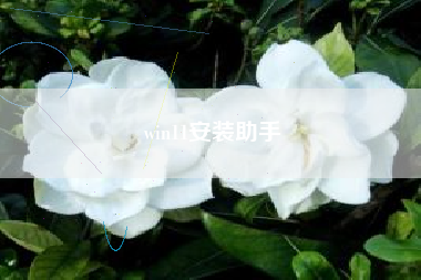 win11安装助手