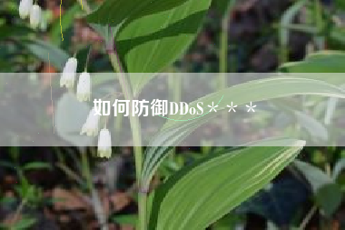 如何防御DDoS*** 如何防御DDoS***
