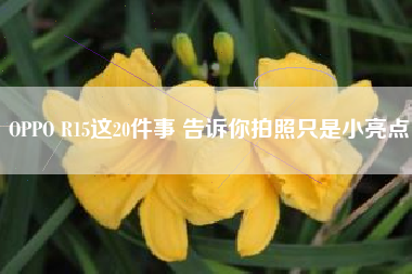 OPPO R15这20件事 告诉你拍照只是小亮点
