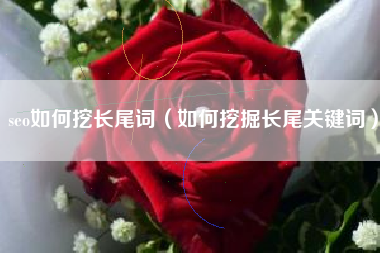 seo如何挖长尾词（如何挖掘长尾关键词）