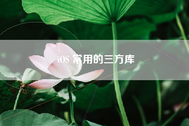 iOS 常用的三方库