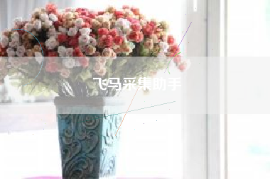 飞马采集助手