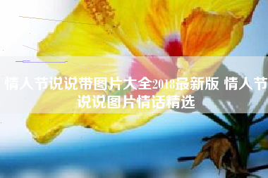 情人节说说带图片大全2018最新版 情人节说说图片情话精选