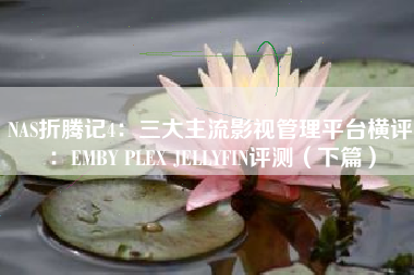 NAS折腾记4：三大主流影视管理平台横评：EMBY PLEX JELLYFIN评测（下篇）