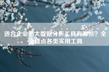 适合企业的大数据分析工具有哪些？全面盘点各类实用工具