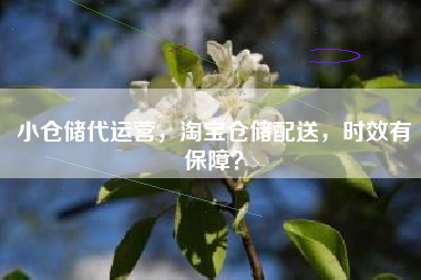 小仓储代运营，淘宝仓储配送，时效有保障？