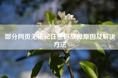 部分网页无法记住密码故障原因及解决方法