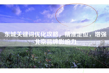 东城关键词优化攻略，精准定位，增强北京品牌影响力