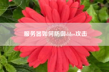 服务器如何防御ddos攻击