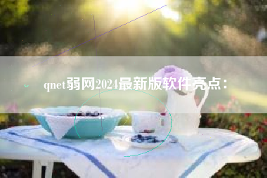 qnet弱网2024最新版软件亮点：