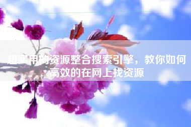 超实用的资源整合搜索引擎，教你如何高效的在网上找资源