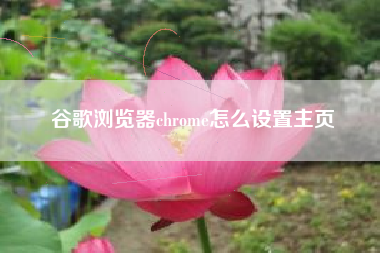 谷歌浏览器chrome怎么设置主页