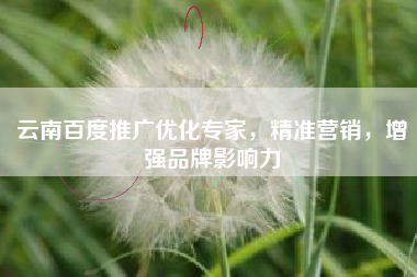 云南百度推广优化专家，精准营销，增强品牌影响力
