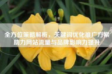 全方位策略解析，关键词优化推广方案助力网站流量与品牌影响力提升