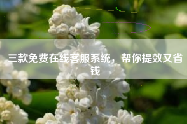 三款免费在线客服系统，帮你提效又省钱