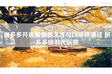 拼多多开店需要多久才可以审核通过 拼多多快羽代运营