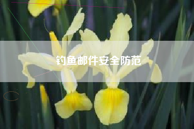 钓鱼邮件安全防范 钓鱼邮件安全防范
