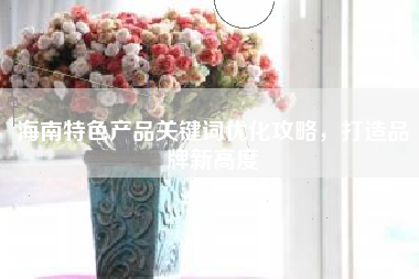 海南特色产品关键词优化攻略，打造品牌新高度