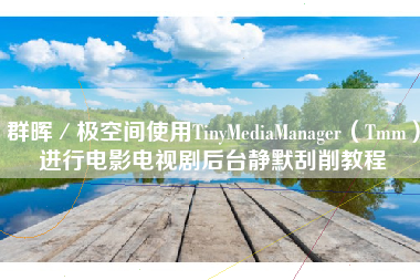 群晖／极空间使用TinyMediaManager（Tmm）进行电影电视剧后台静默刮削教程