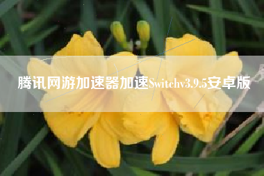 腾讯网游加速器加速Switchv3.9.5安卓版