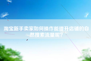 淘宝新手卖家如何操作能提升店铺的自然搜索流量呢？