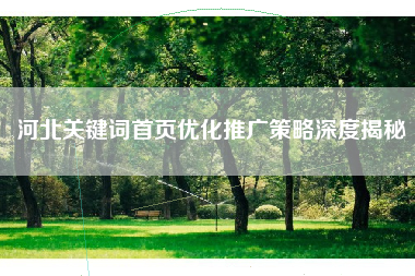 河北关键词首页优化推广策略深度揭秘