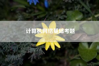 计算机网络基础考题