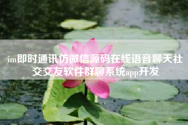 im即时通讯仿微信源码在线语音聊天社交交友软件群聊系统app开发