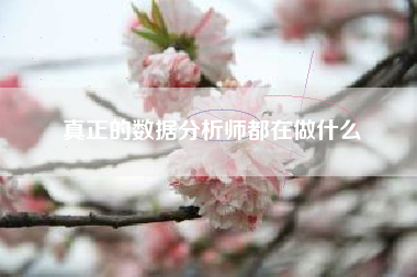 真正的数据分析师都在做什么