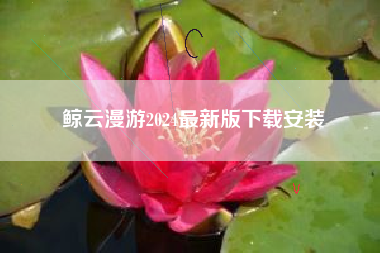鲸云漫游2024最新版下载安装
