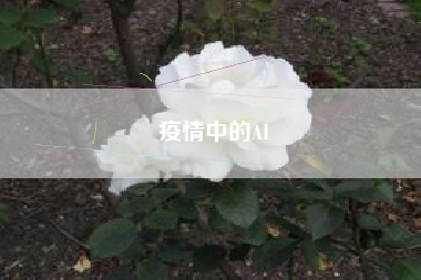 疫情中的AI