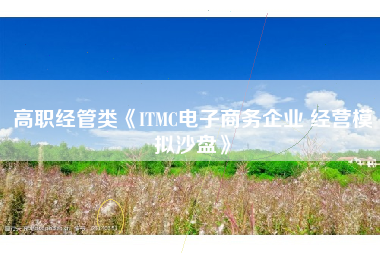 高职经管类《ITMC电子商务企业 经营模拟沙盘》