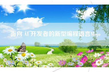 面向 AI 开发者的新型编程语言Mojo