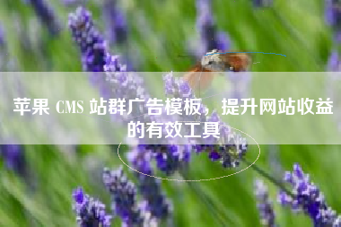 苹果 CMS 站群广告模板，提升网站收益的有效工具