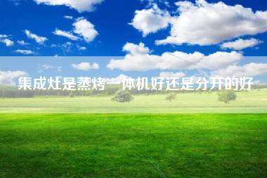 集成灶是蒸烤一体机好还是分开的好