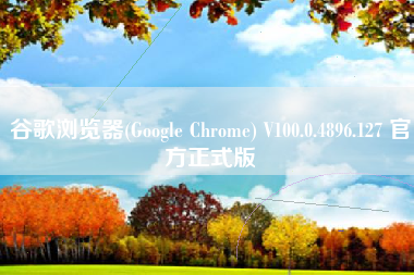 谷歌浏览器(Google Chrome) V100.0.4896.127 官方正式版
