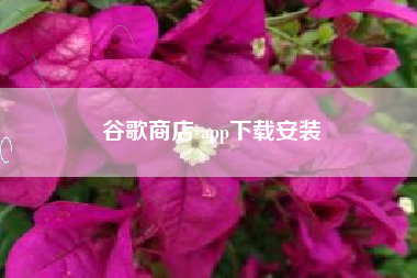 谷歌商店 app下载安装