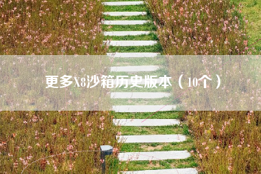 更多X8沙箱历史版本（10个）