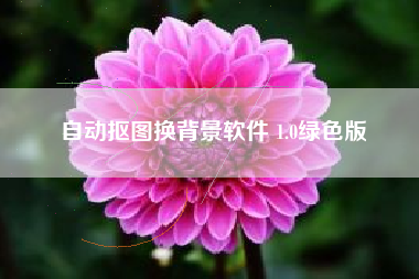 自动抠图换背景软件 1.0绿色版