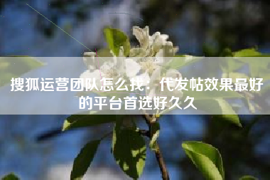 搜狐运营团队怎么找：代发帖效果最好的平台首选好久久