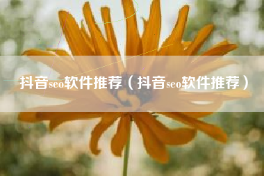 抖音seo软件推荐（抖音seo软件推荐）